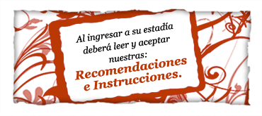 ir a INSTRUCCIONES y RECOMENDACIONES